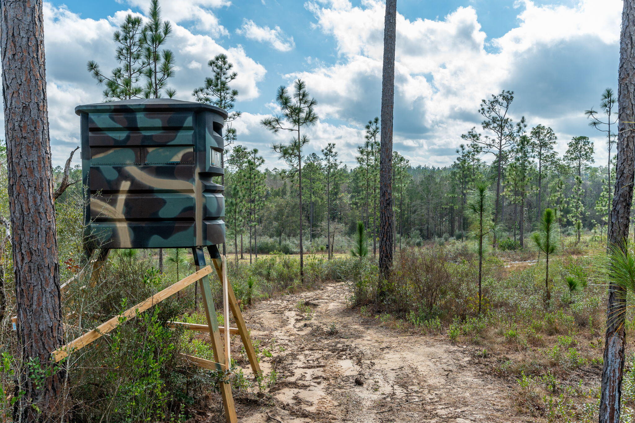 6150 Sherman Kennedy Road Baker, FL 32531 - Photo 42 of 43 a view of a garden