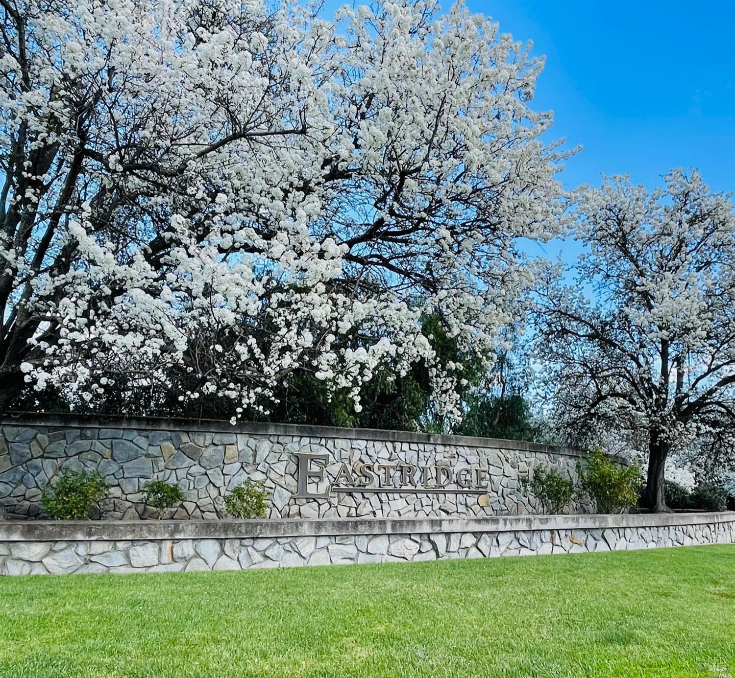 746 Bridle Ridge Court Fairfield, CA 94534 - Photo 19 of 19