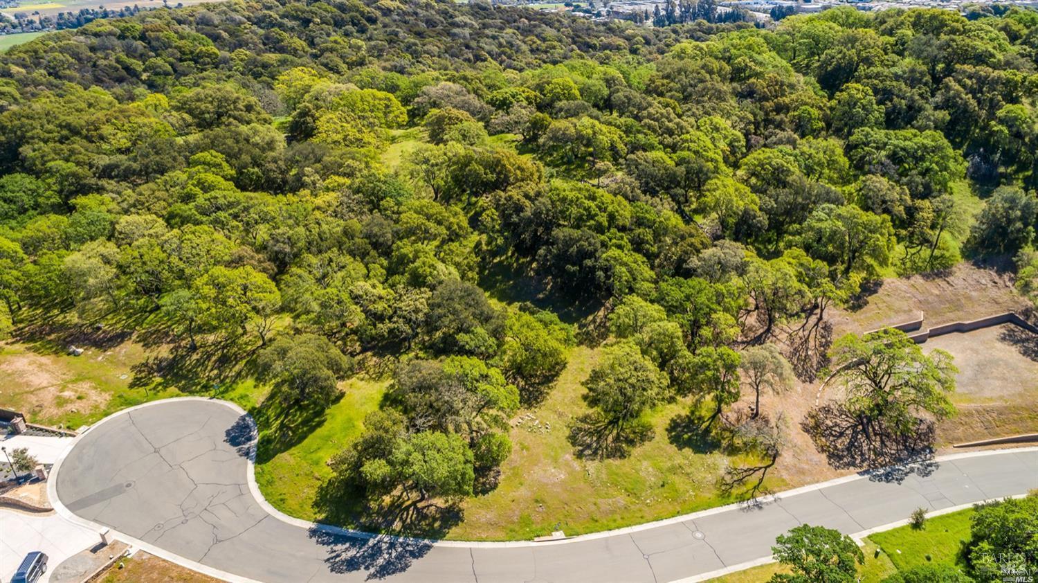 746 Bridle Ridge Court Fairfield, CA 94534 - Photo 9 of 19