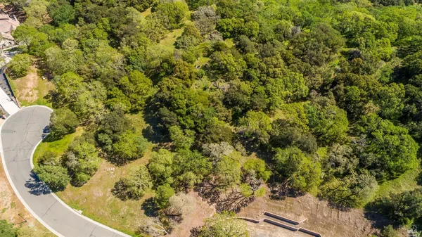 a view of a large yard with lots of bushes