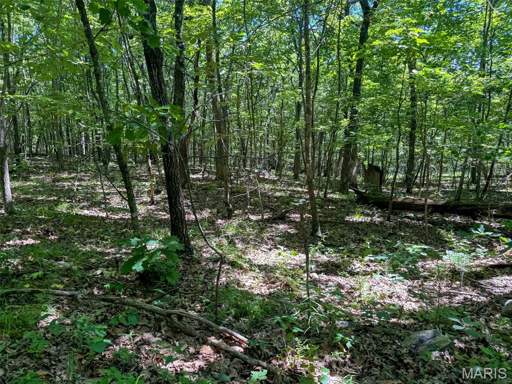 2 King School Road Ironton, MO 63650 - Photo 21 of 28