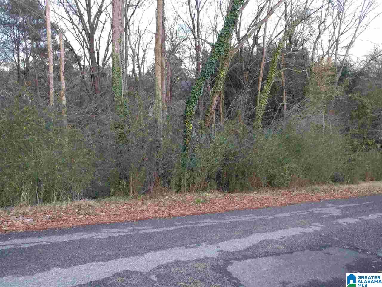 0 Grove Street Springville, AL 35146 - Photo 2 of 3