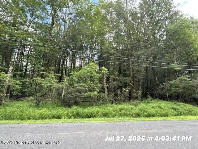 a view of a lake with a tree in the background