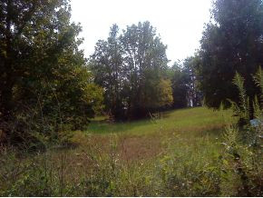 Tbd Tbd Archer Road Jonesborough, TN 37659 - Photo 2 of 2 Photo 2