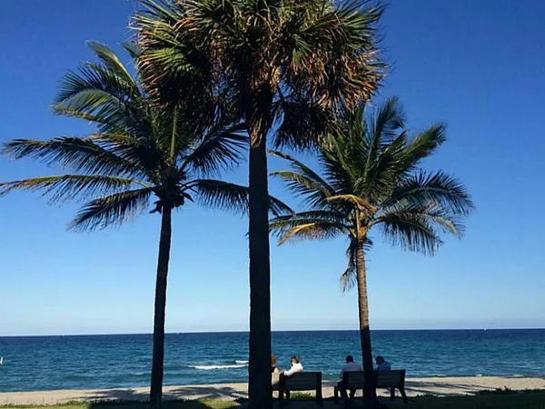 $2,500 | 2265 Southwest 15th Street, Unit 165, Deerfield Beach, FL 33442