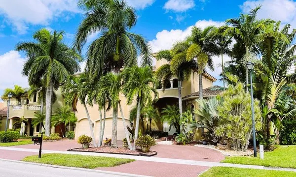 a view of a park with palm trees
