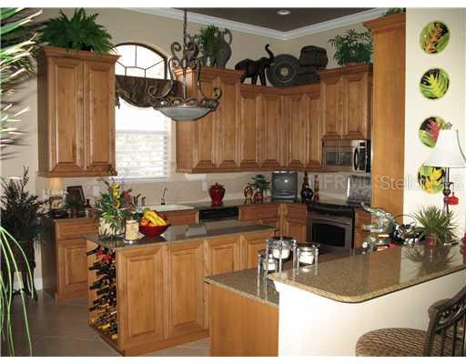 13849 Siena Loop Lakewood Ranch, FL 34202 - Photo 7 of 12 Kitchen