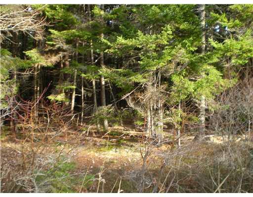 Lot 4 Newbury Point Road Phippsburg, ME 04562 - Photo 1 of 2 Exterior Front.