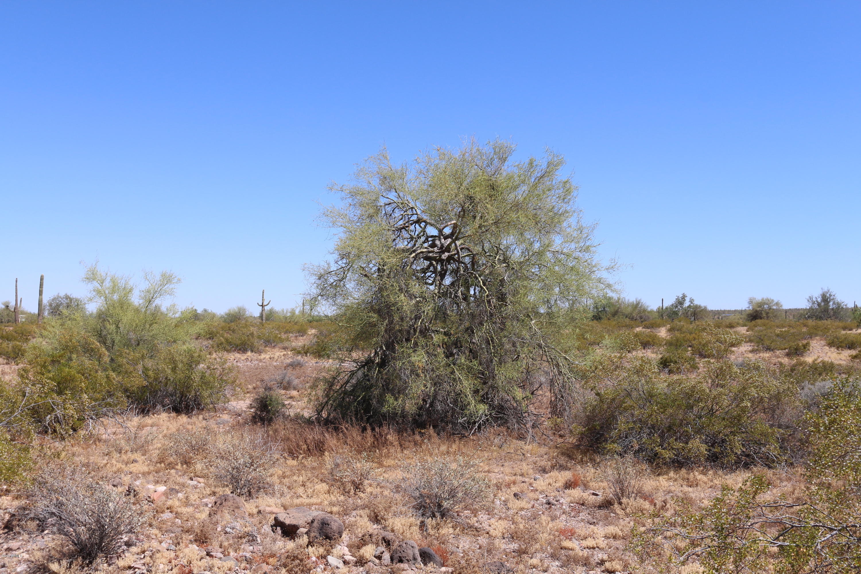 0 West White Wing Road, Unit 11B Maricopa, AZ 85139 - Photo 8 of 8 IMG_5997