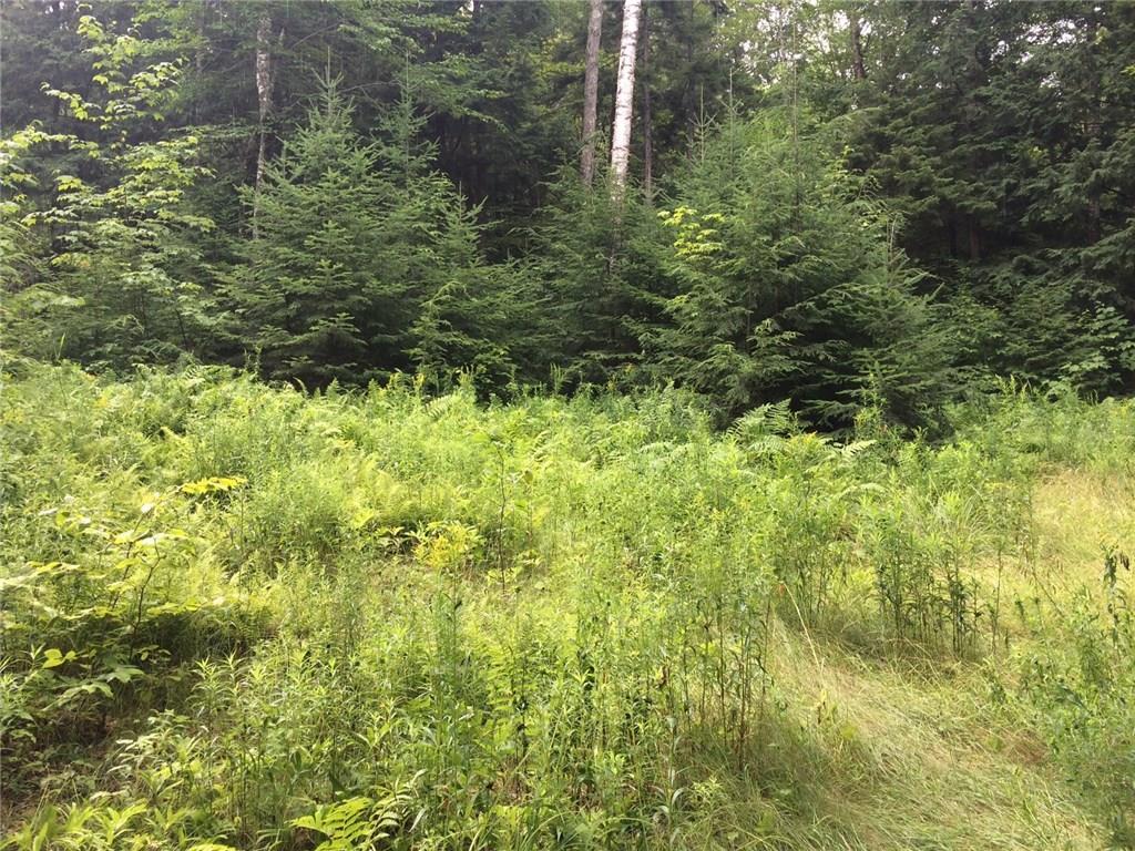 20 Sandy Bay Road Greenville, ME 04441 - Photo 3 of 6 Photo