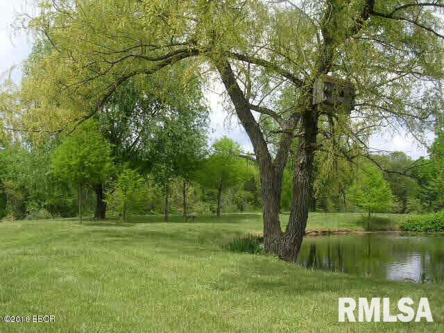 4125 Gilead Church Road Simpson, IL 62985 - Photo 14 of 50
