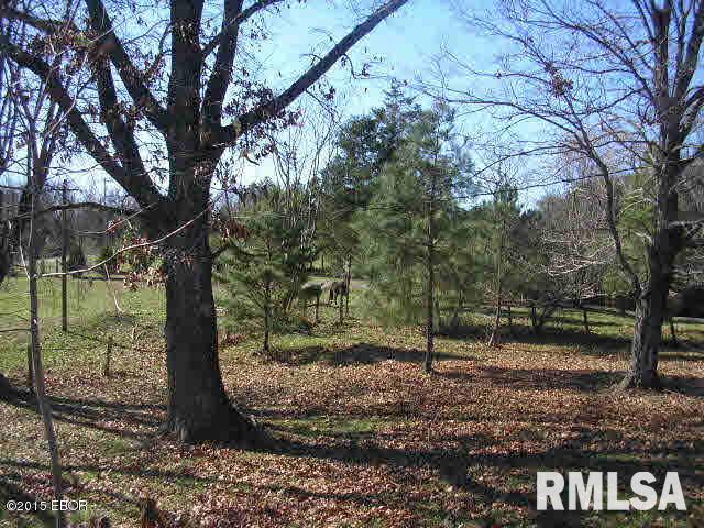4125 Gilead Church Road Simpson, IL 62985 - Photo 25 of 50
