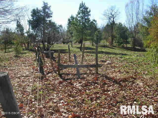 4125 Gilead Church Road Simpson, IL 62985 - Photo 29 of 50