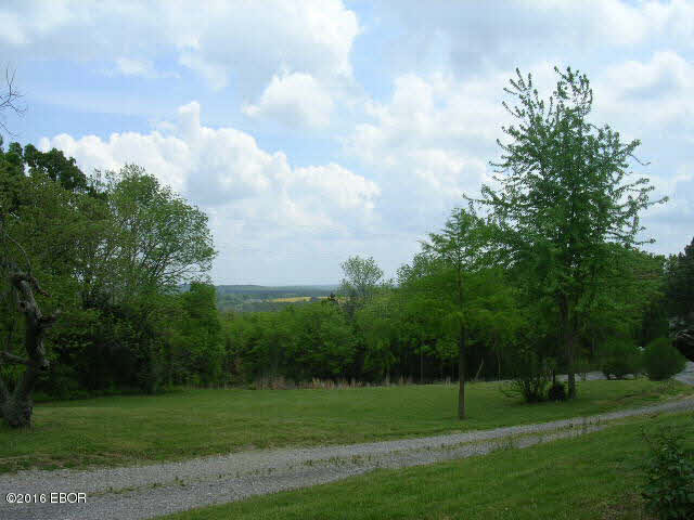 4125 Gilead Church Road Simpson, IL 62985 - Photo 3 of 50