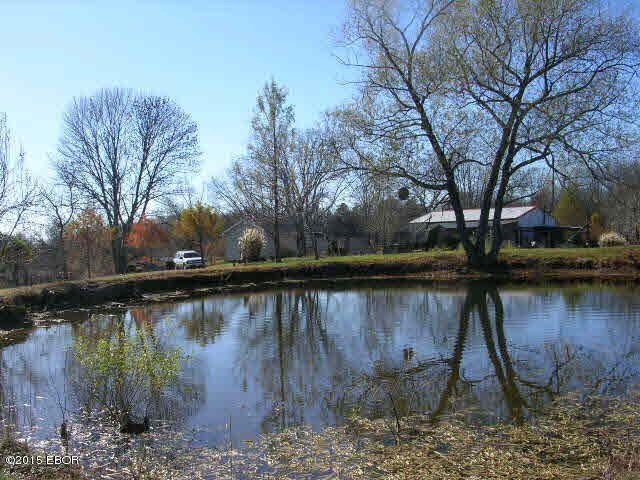 4125 Gilead Church Road Simpson, IL 62985 - Photo 33 of 50