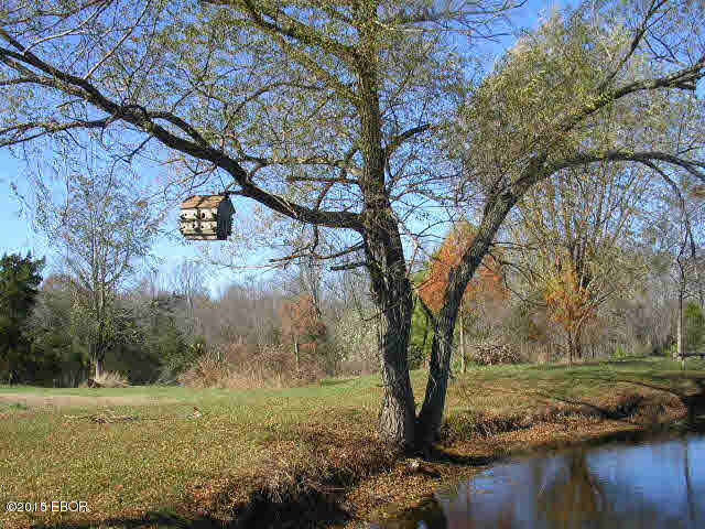 4125 Gilead Church Road Simpson, IL 62985 - Photo 34 of 50