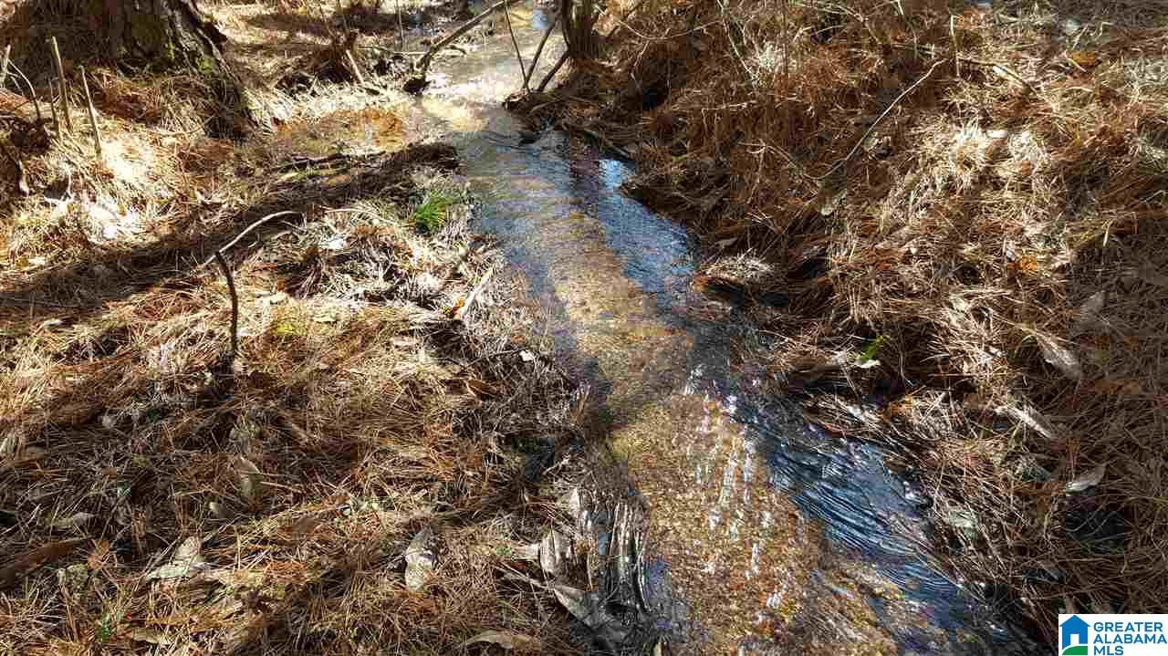 0 Baggett Road, Unit 78 / ACRES Ashland, AL 36251 - Photo 10 of 13