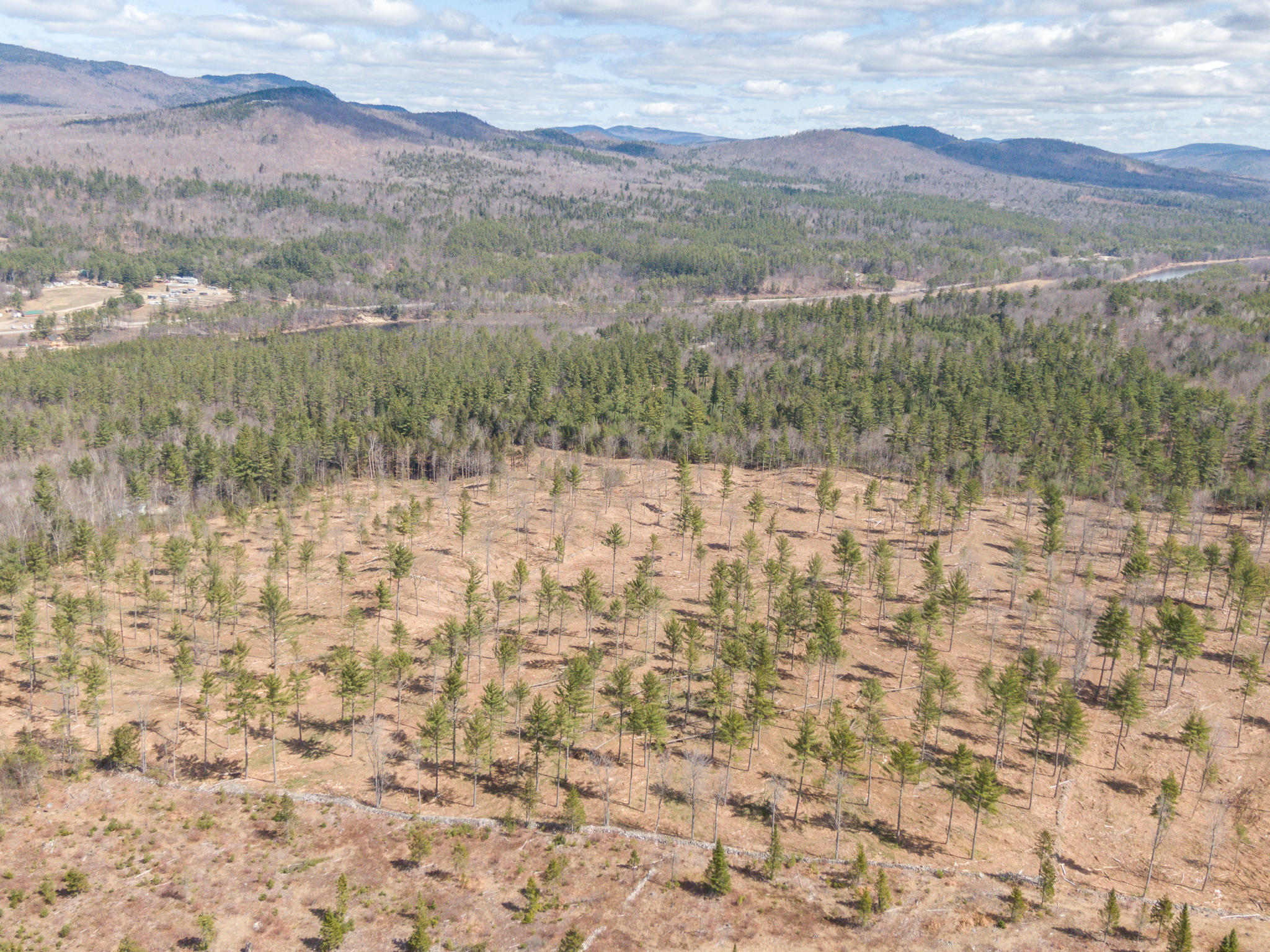 Tbd Swan Hill Road Bethel, ME 04217 - Photo 11 of 20 Swan Hill Lot-13