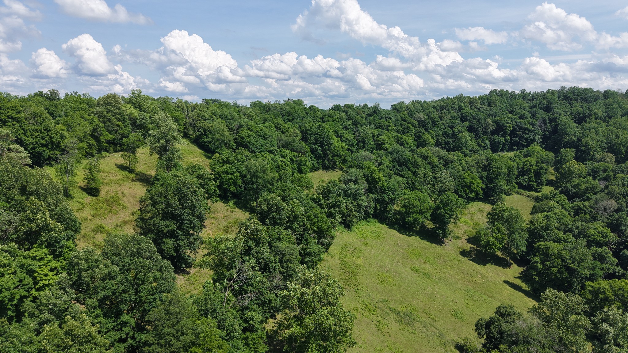 1358 Dry Branch Road Dixon Springs, TN 37057 - Photo 87 of 98