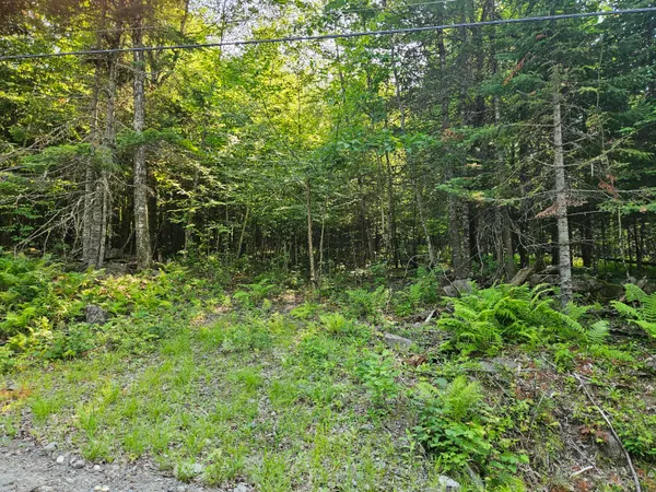 $29,900 | Lot 2 Rips Road, Brownville, ME 04414