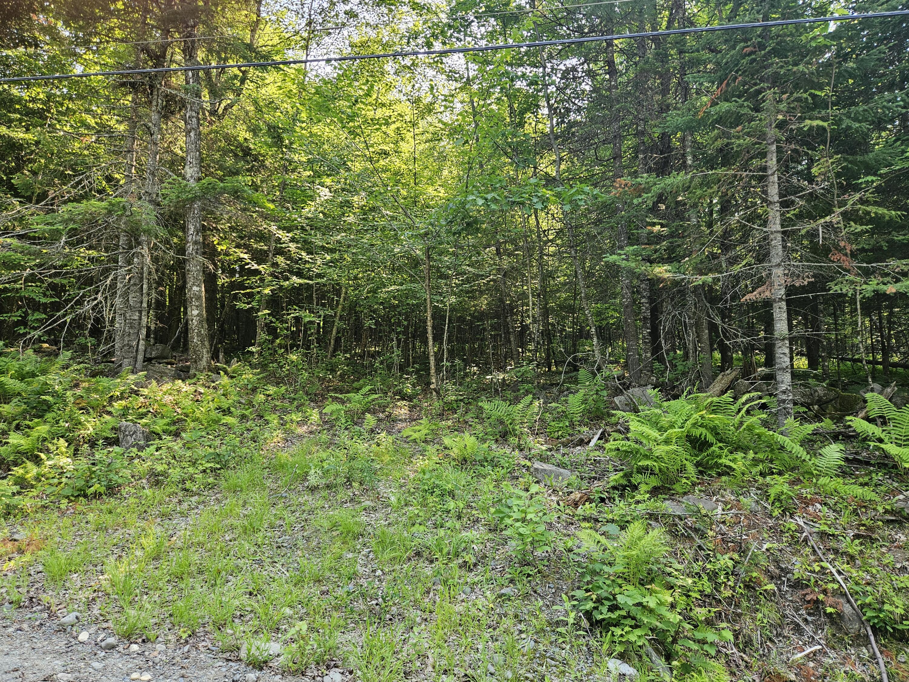 Lot 2 Rips Road Brownville, ME 04414 - Photo 1 of 3 1000016328