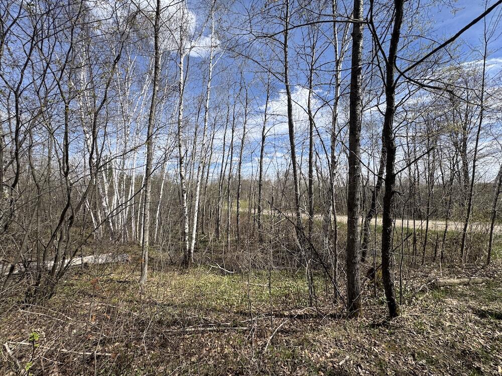 Vl Curtisville Road Mio, MI 48647 - Photo 25 of 141 IMG_2248