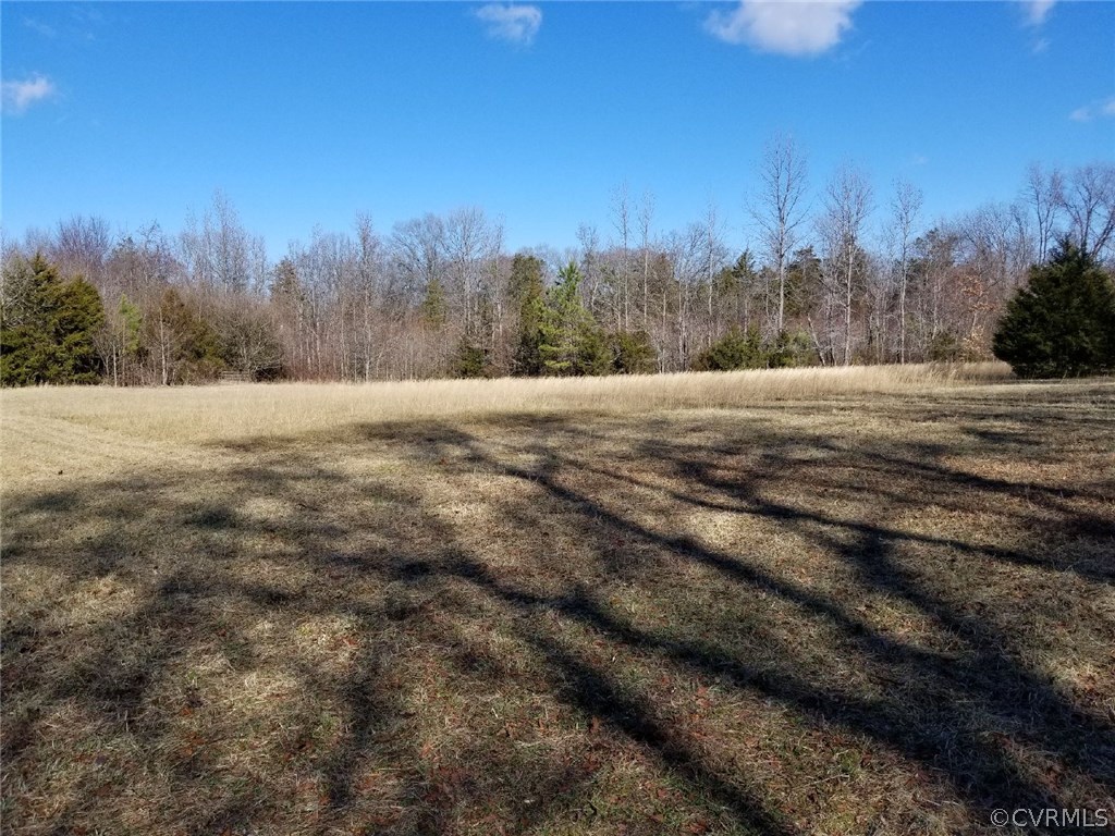 356 Courthouse Road Blackstone, VA 23824 - Photo 3 of 4 Gallery Image 3