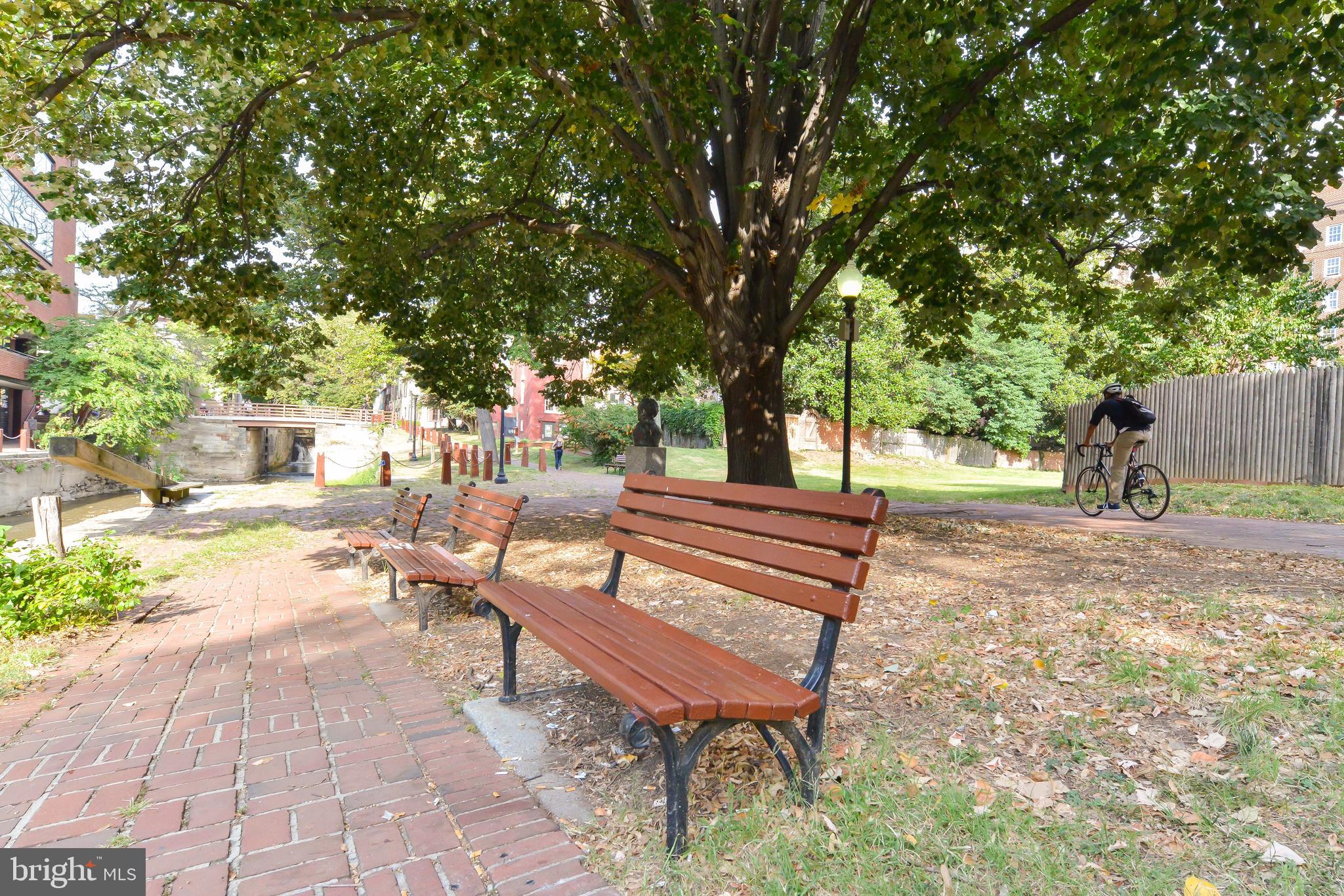 3623 R Street Northwest Washington, DC 20007 - Photo 58 of 87 a view of a park with bench and trees