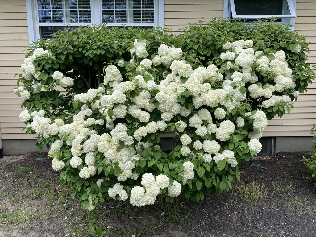 60 Old Post Road East Walpole, MA 02032 - Photo 41 of 41 Gallery Image 41
