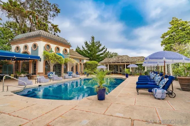 a view of a park with large trees