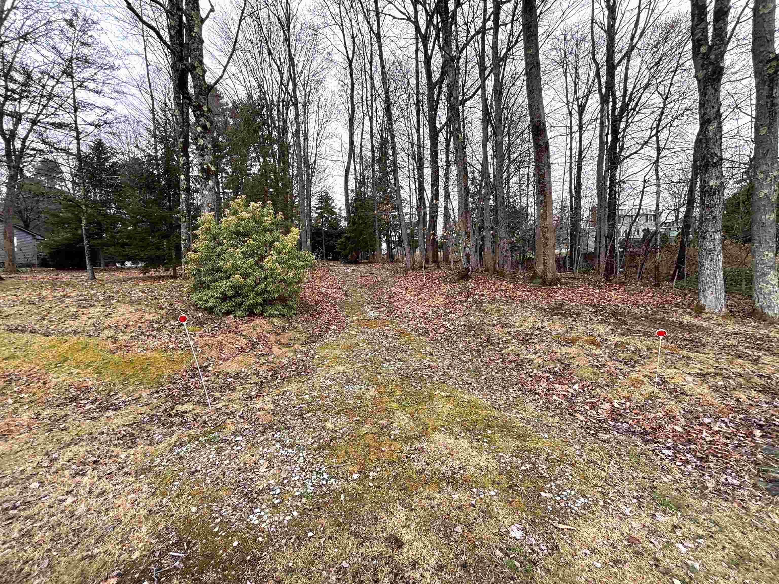 0 Terrace Road Franklin, NH 03235 - Photo 4 of 8