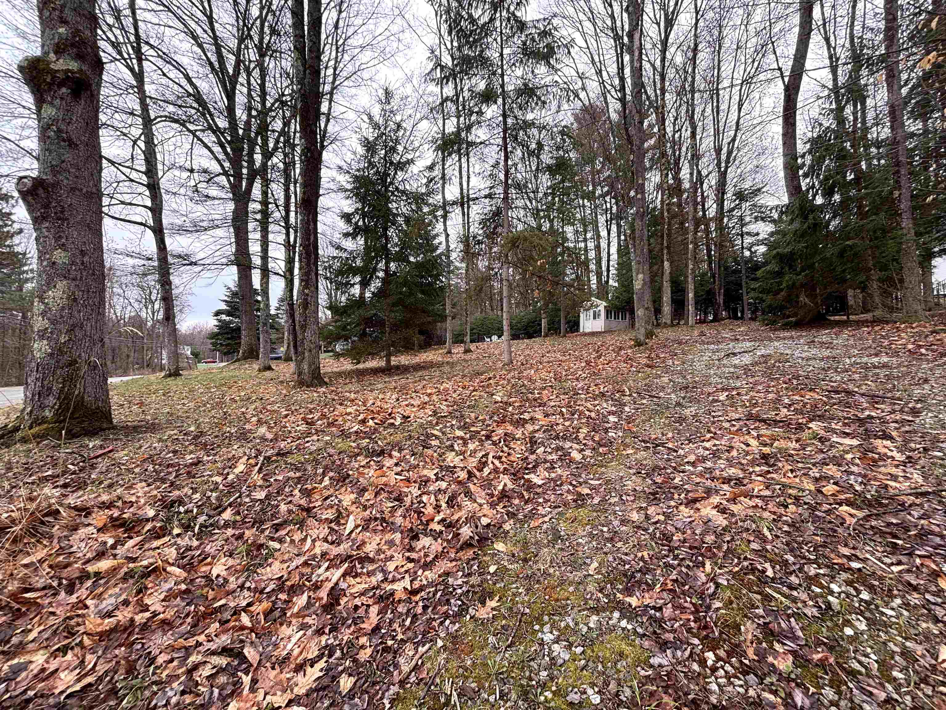 0 Terrace Road Franklin, NH 03235 - Photo 5 of 8