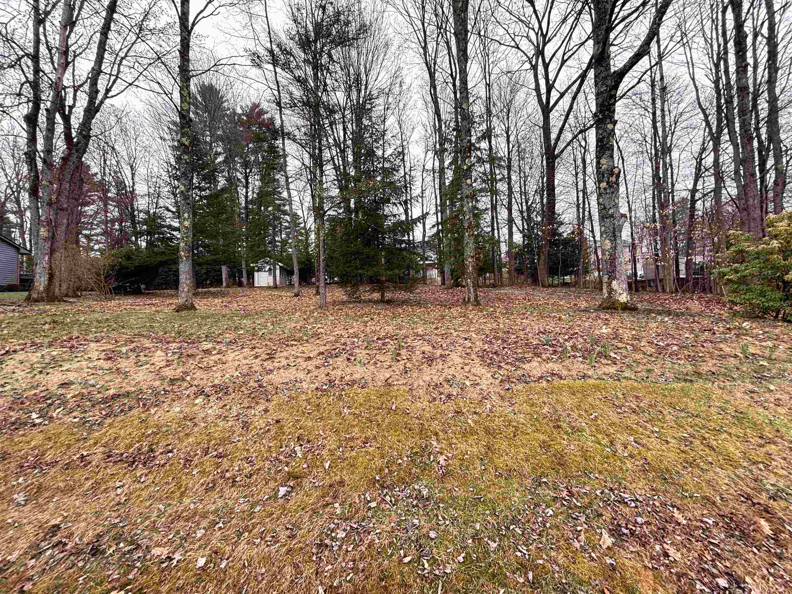 0 Terrace Road Franklin, NH 03235 - Photo 6 of 8