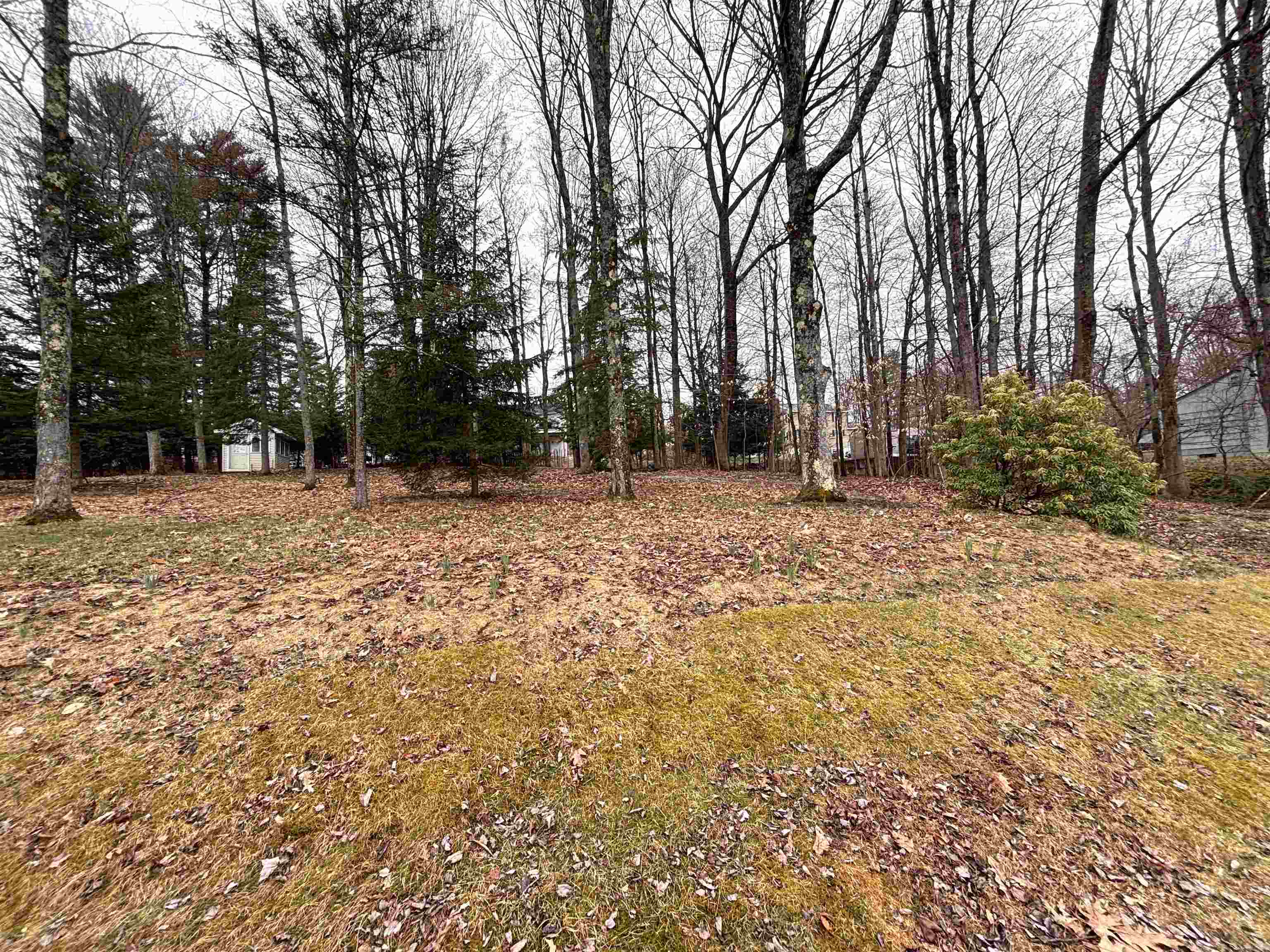 0 Terrace Road Franklin, NH 03235 - Photo 7 of 8