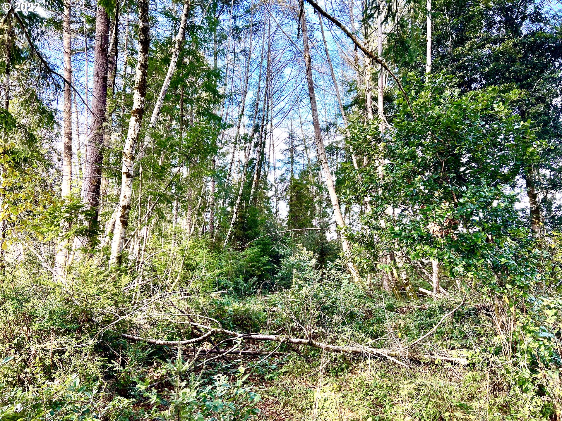 Wildwood Road Brookings, OR 97415 - Photo 7 of 9