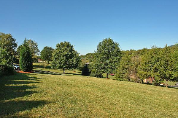 4648 Rte 1094 Roanoke, VA 24012 - Photo 37 of 40 Yard