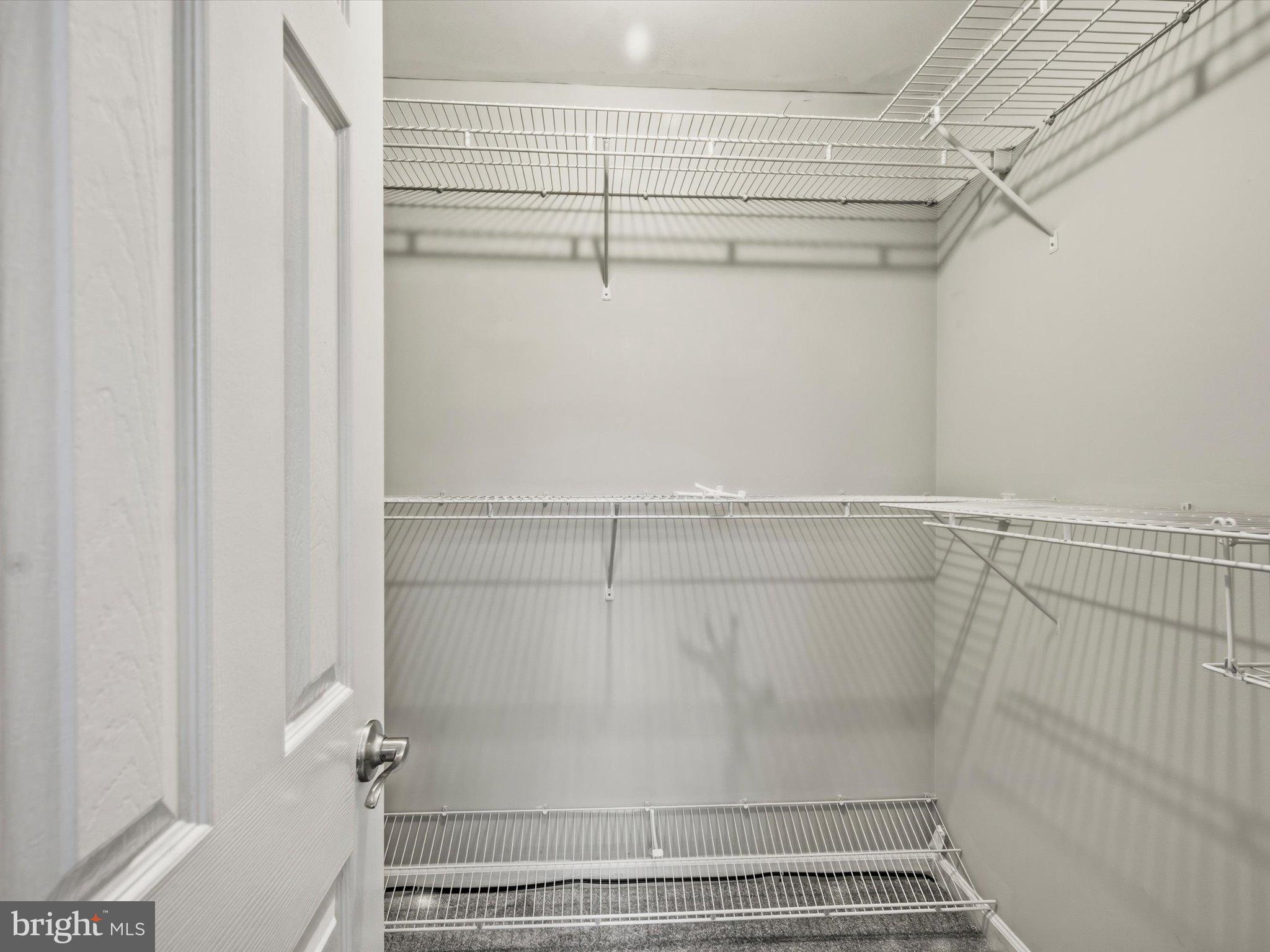 63 Hackberry Circle Shepherdstown, WV 25443 - Photo 36 of 55 2nd Bdrm Walk in Closet.
