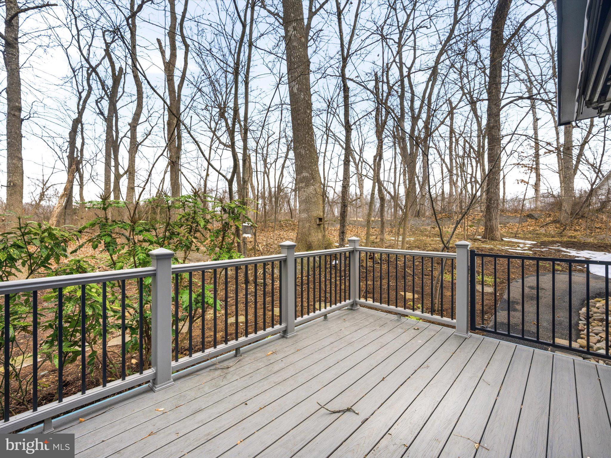 63 Hackberry Circle Shepherdstown, WV 25443 - Photo 5 of 55 Electric Sunsetter Shade and low maintenance deck.