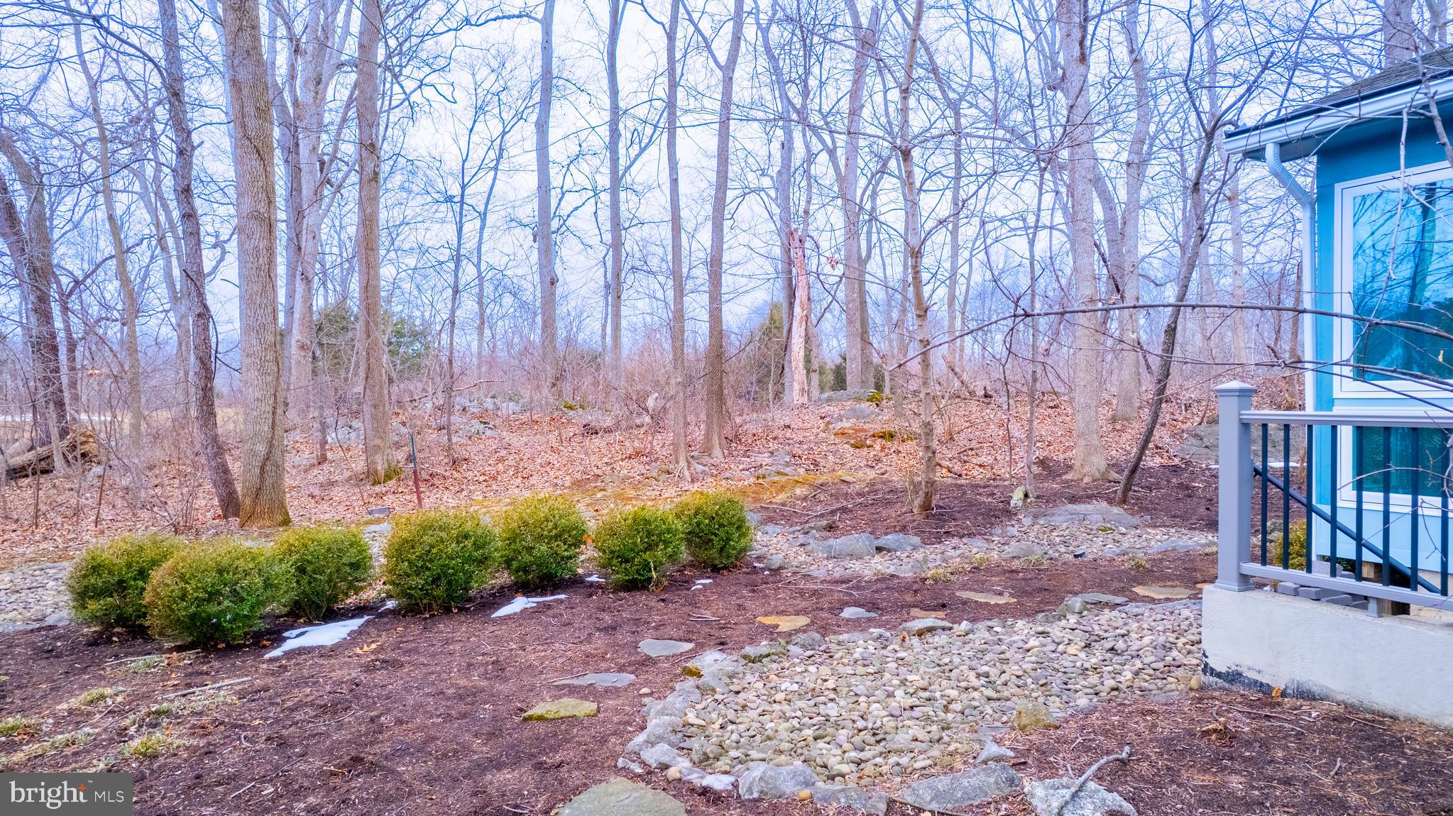 63 Hackberry Circle Shepherdstown, WV 25443 - Photo 52 of 55 Landscaped yard.