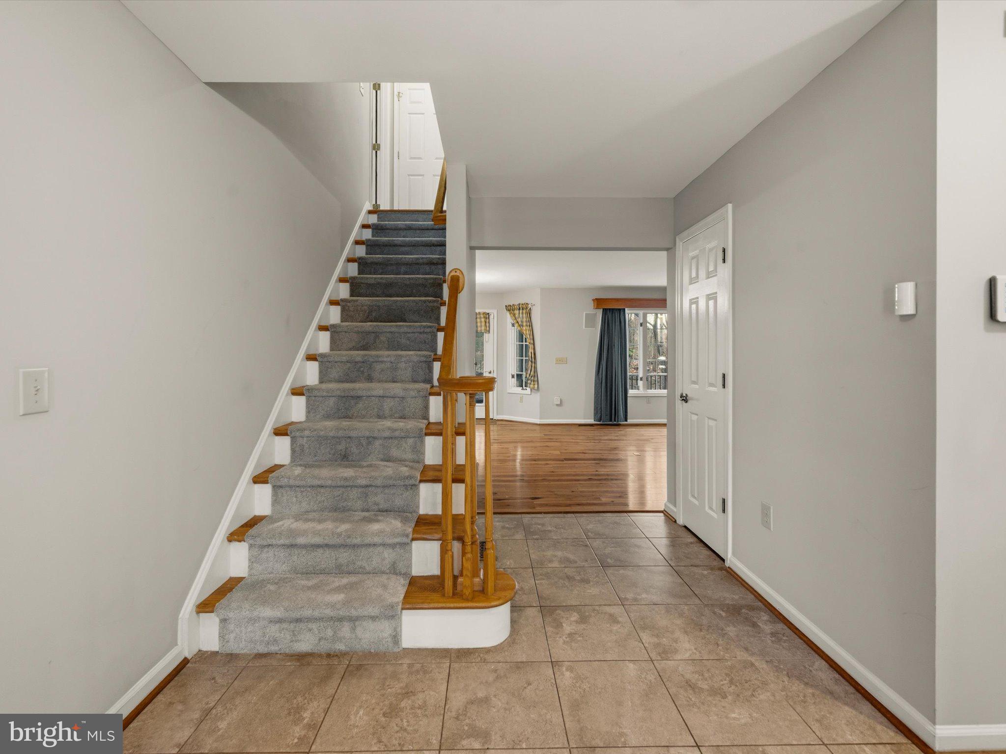 63 Hackberry Circle Shepherdstown, WV 25443 - Photo 6 of 55 Front Hall-new stair covering.