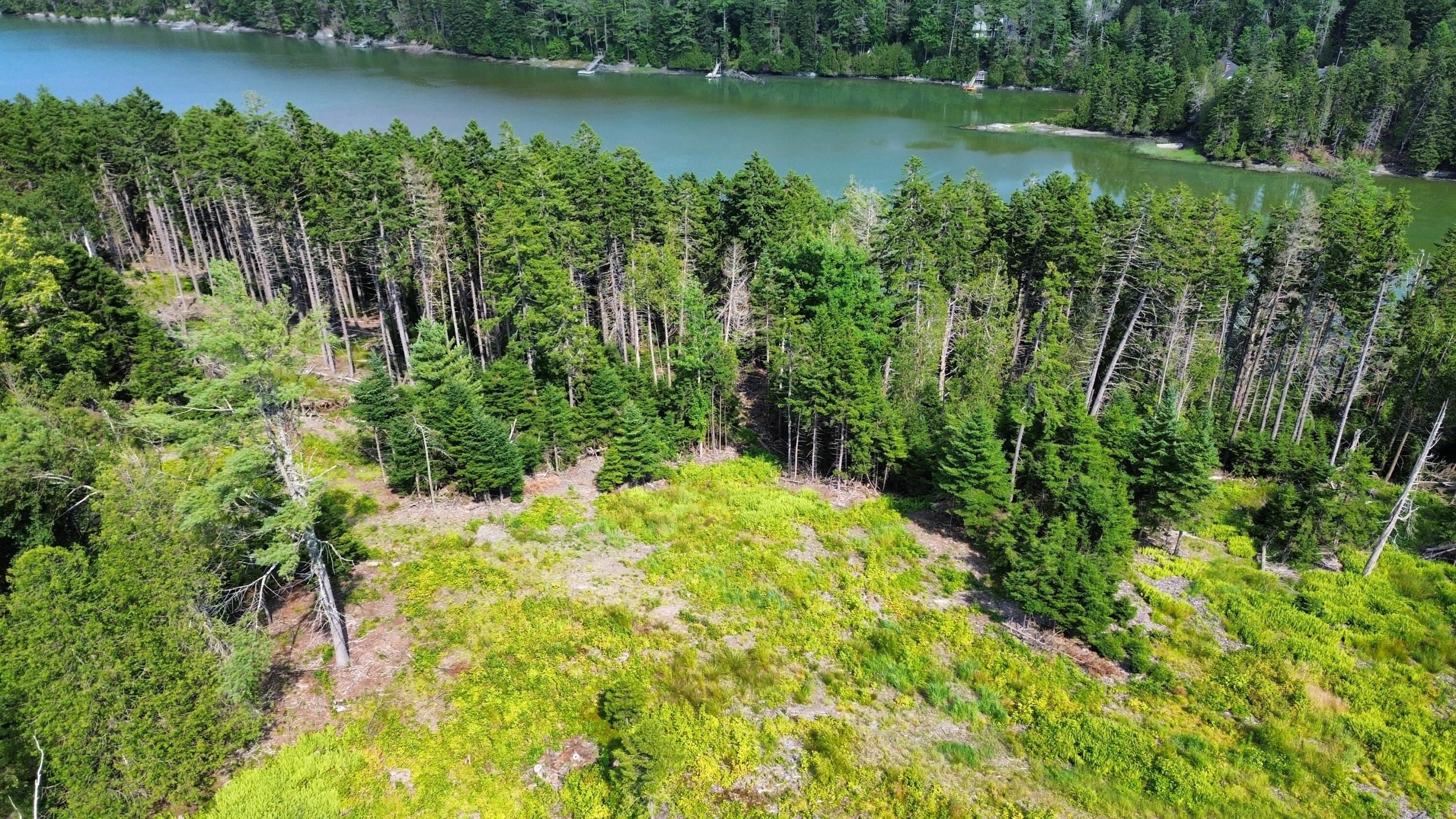 Lot #1 Bayview Road Orrs Island, ME 04066 - Photo 8 of 46 dji_fly_20240713_154004_885_172091594224