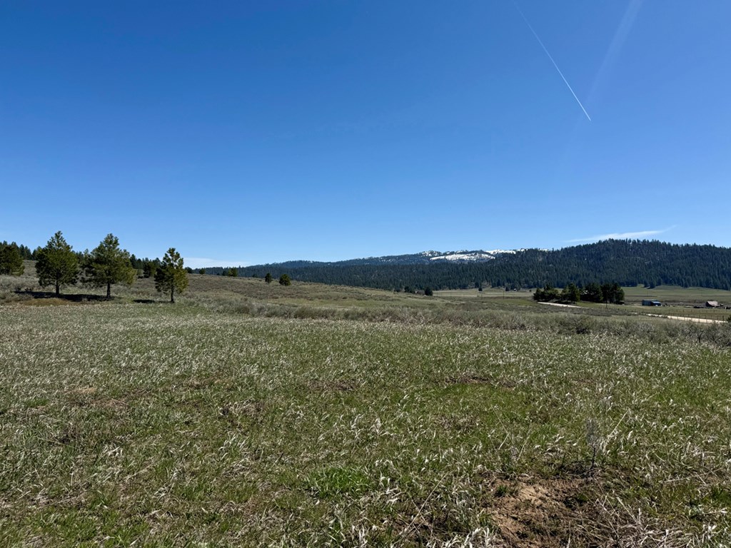 L3-b1 Lantern Way, Unit 3 Cascade, ID 83611 - Photo 5 of 15 Enormous Build Site