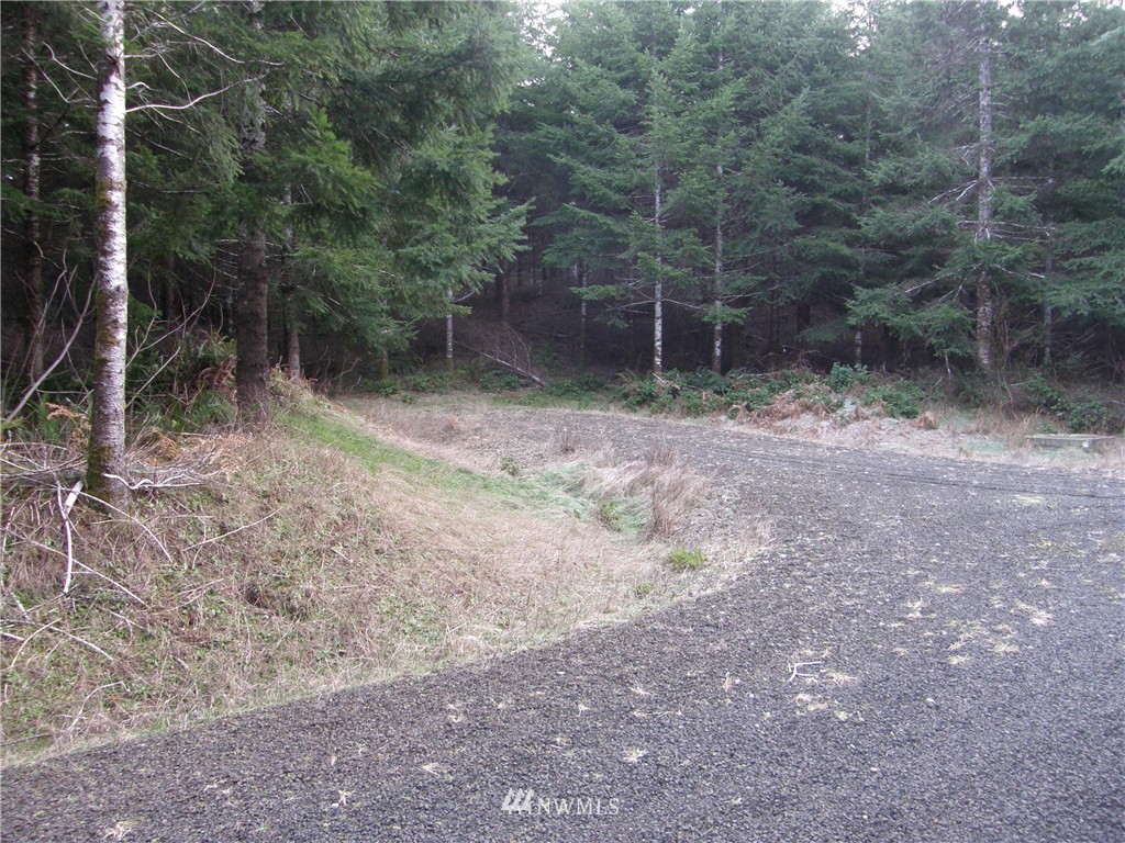 115 Powers Creek Road Elma, WA 98541 - Photo 2 of 7 Gallery Image 2