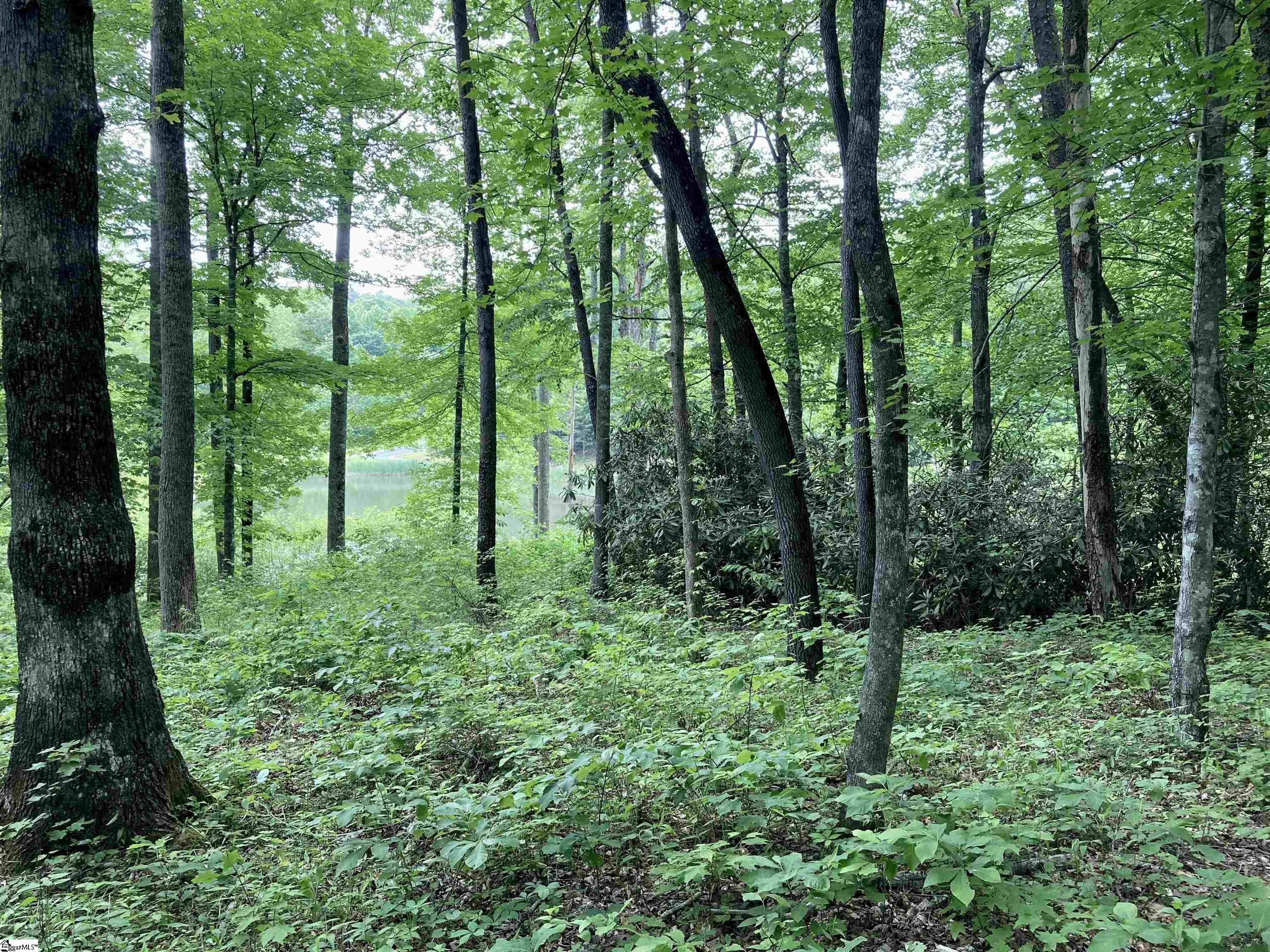 909 High Knoll Way Travelers Rest, SC 29690 - Photo 2 of 3