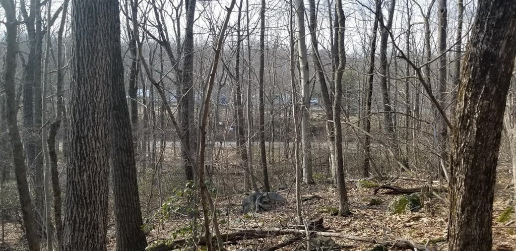 Xo Frontage Road Ashford, CT 06278 - Photo 18 of 19 Gallery Image 18