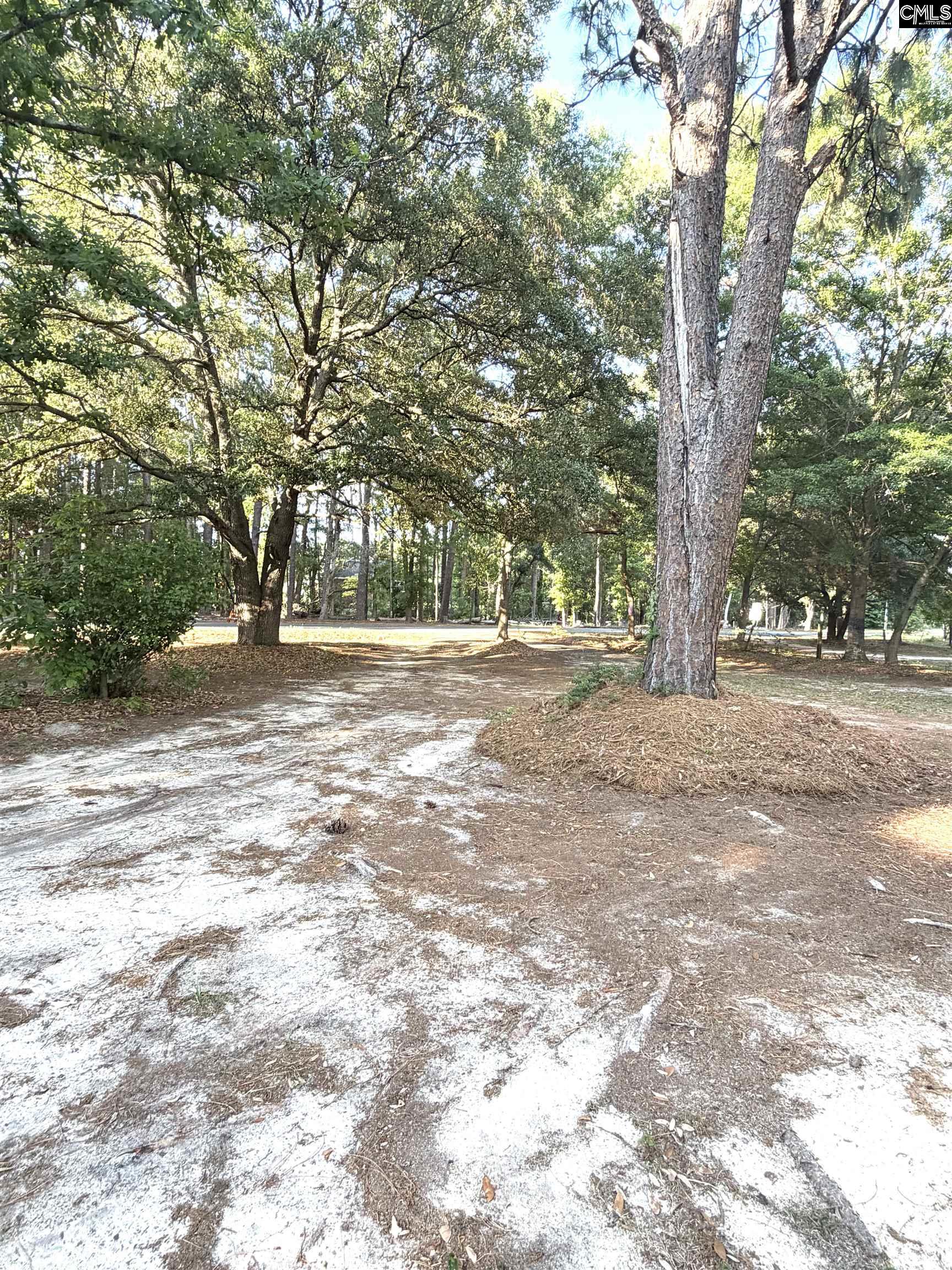 123 State Rd S-32-1466 Swansea, SC 29160 - Photo 19 of 20
