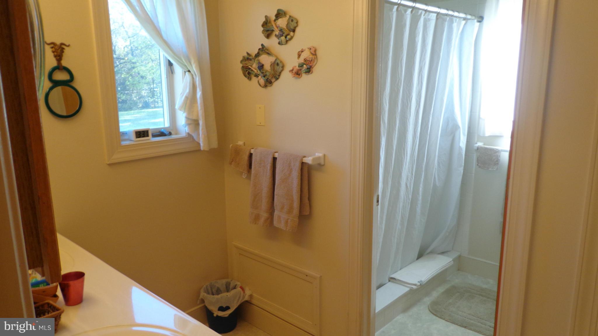 21209 Cedar Grove Road Culpeper, VA 22701 - Photo 9 of 25 Bath