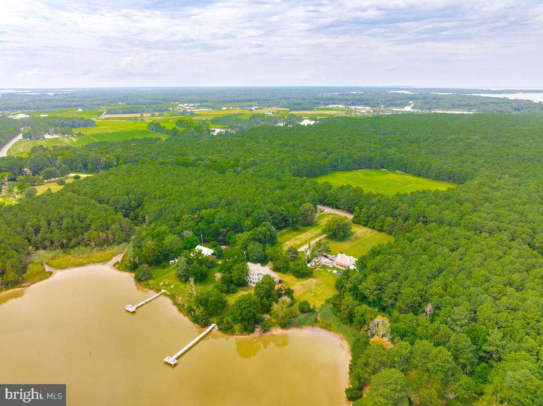 50333 Scotland Beach Road Scotland, MD 20687 - Photo 82 of 95