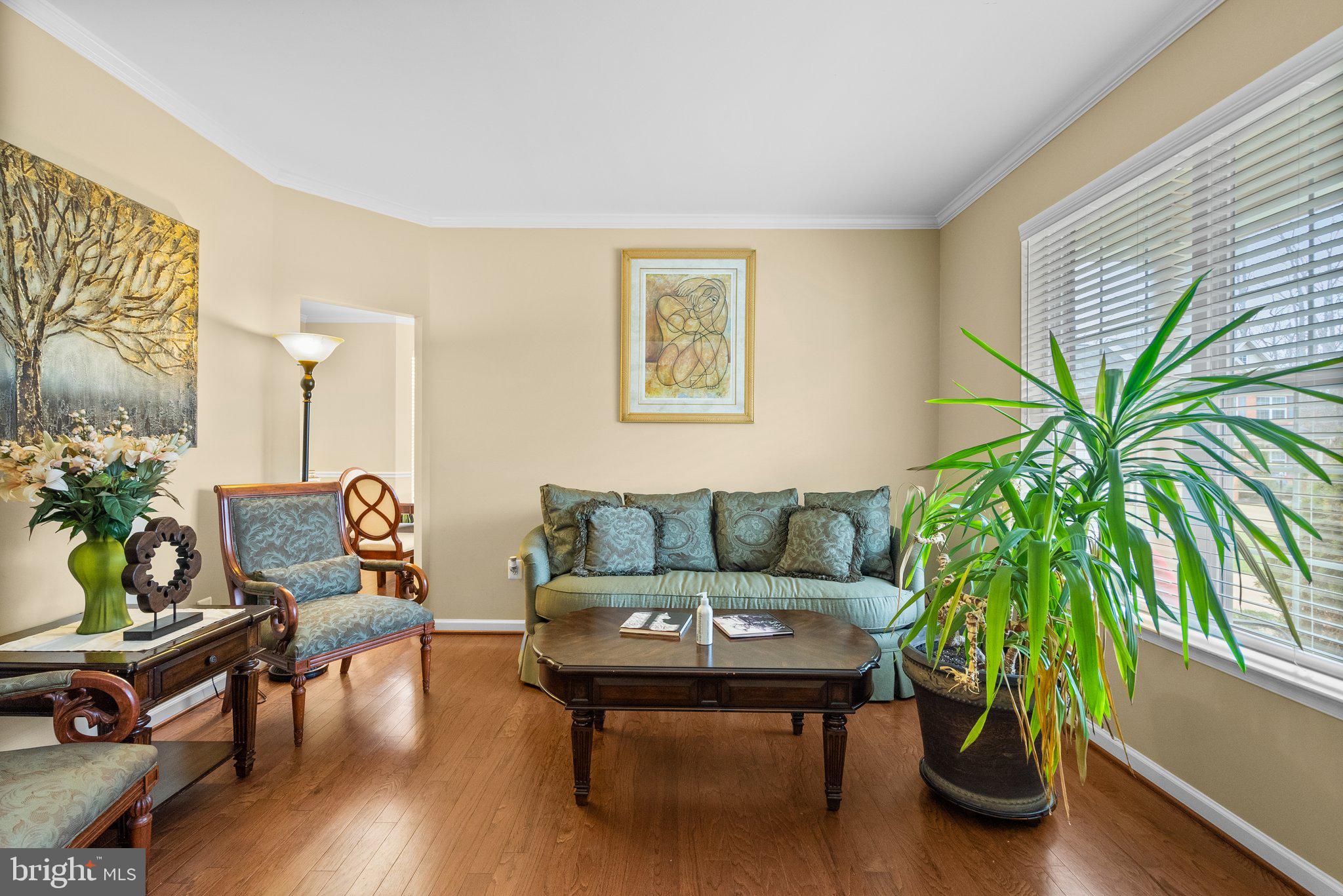 17510 Madrillon Way Accokeek, MD 20607 - Photo 3 of 40 Bright open living room