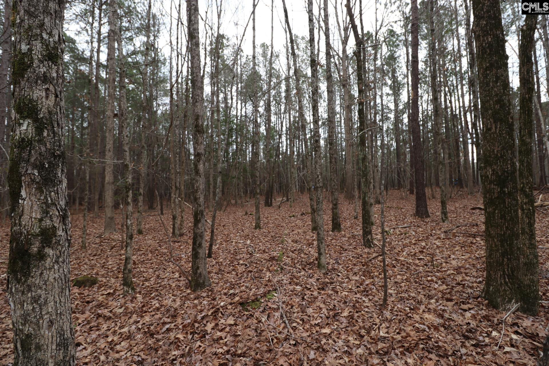 Lot 229 Granny Hill Road Prosperity, SC 29127 - Photo 56 of 61